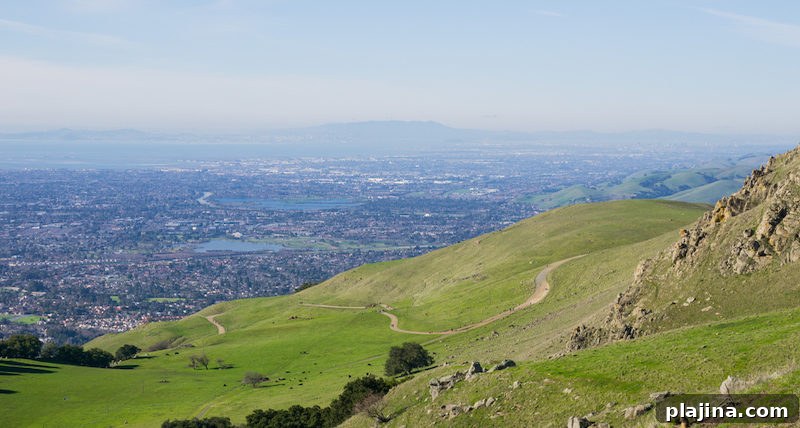 Fremont