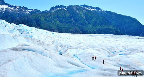 Mendenhall Glacier