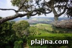 7 Reasons to Return to Brazil: Must-See Sights and Experiences 4 thumb3