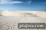 7 Reasons to Return to Brazil: Must-See Sights and Experiences 6 thumb5