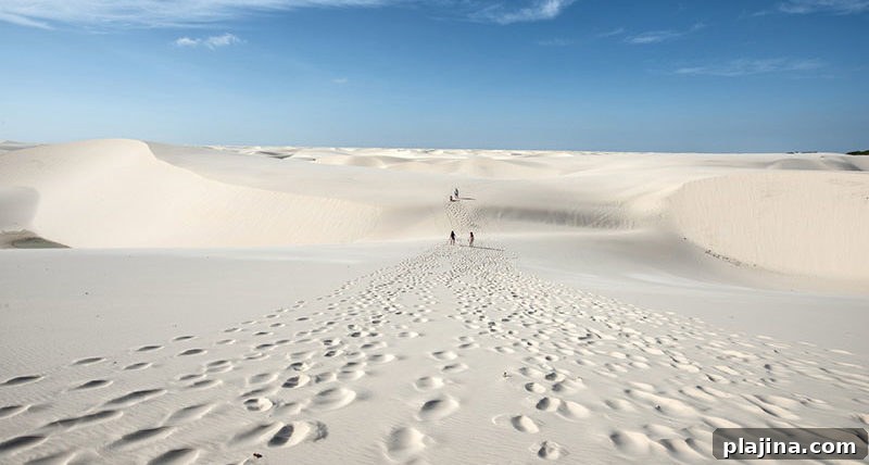 Lencois Maranhenses National Park