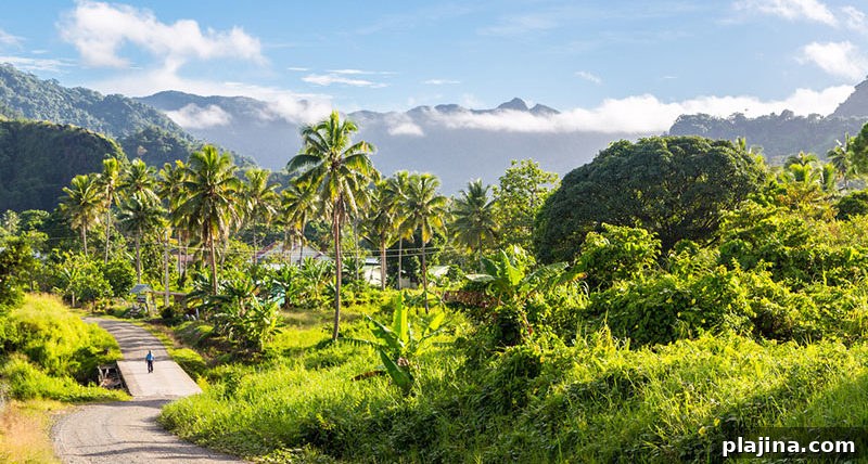 Ovalau island colonial town
