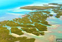 6 Reasons to Return to the Florida Keys for Your Next Trip