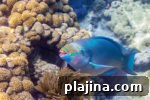 6 Reasons to Return to the Florida Keys for Your Next Trip 5 img 115931 10