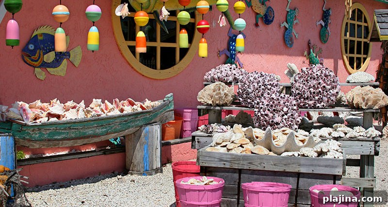 Colorful seashell shop