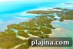6 Reasons to Return to the Florida Keys for Your Next Trip 2 img 115931 7