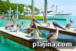 6 Reasons to Return to the Florida Keys for Your Next Trip 3 img 115931 8