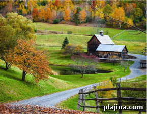 Fall Foliage Road Trip: Scenic Routes Through New York, Vermont & New England 2 img 116777 1