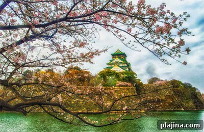 Osaka Castle