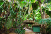 Unwind in the Seychelles: Top Spots for a Relaxing Island Escape
