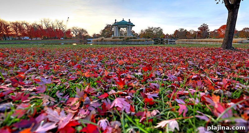 Forest Park Bandstand