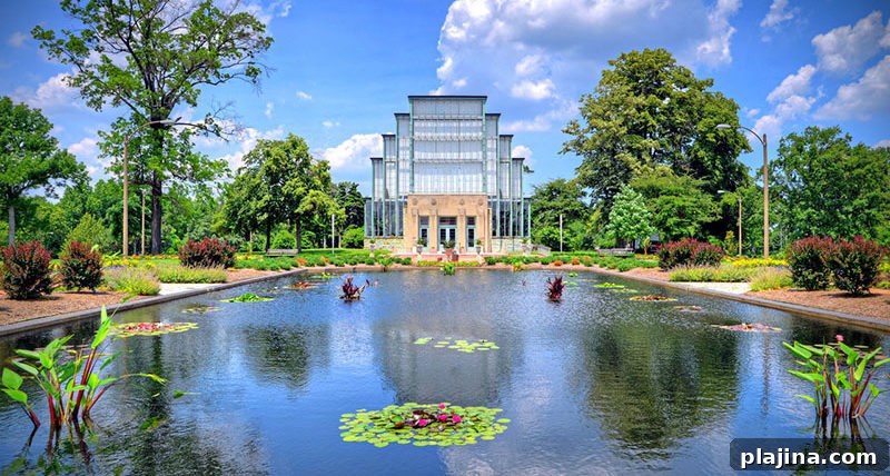 Forest Park Jewel Box