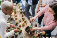 Workplace Wellness: How to Build a Healthier Office Environment
