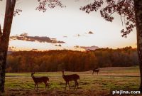 Fall Escapes at Nemacolin Woodlands Resort — Classic Pennsylvania Getaway