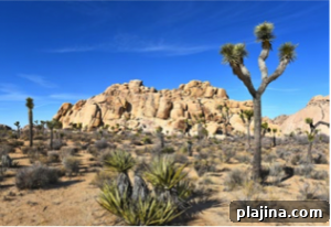 img 119134 2
