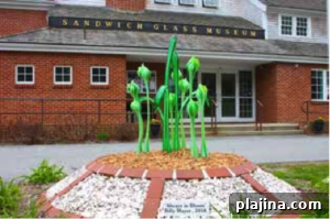 img 120349 1