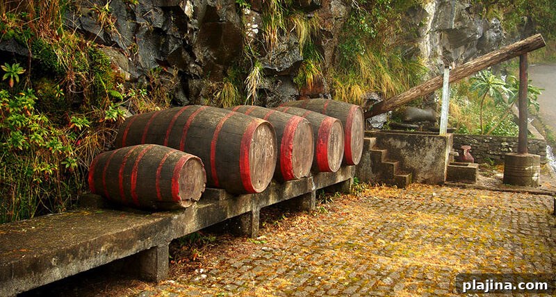 Madeira wine