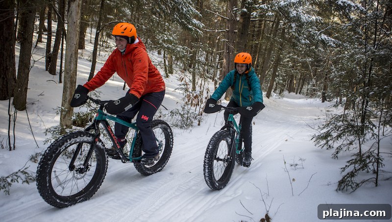 Fat Tire Biking