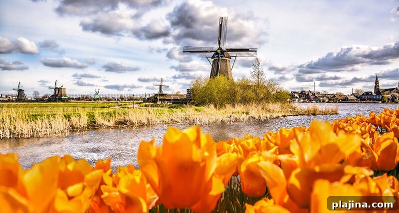 Zaanse Schans