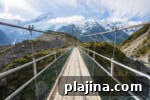 img 121690 10