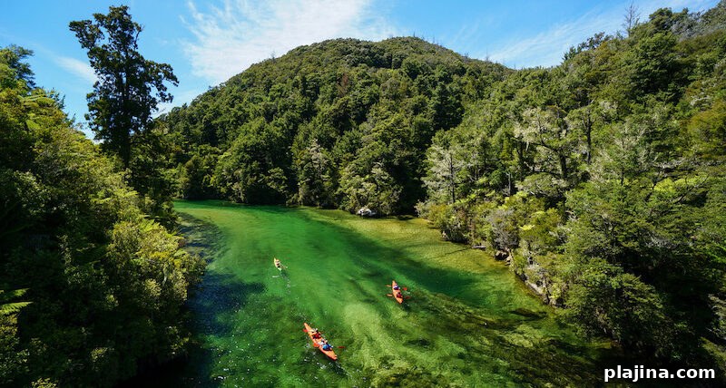 Abel Tasman National Park