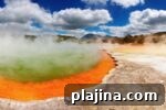 img 121690 7