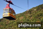 6 Compelling Reasons to Visit Busan, South Korea This Year 5 img 122665 10