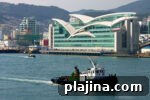 6 Compelling Reasons to Visit Busan, South Korea This Year 3 img 122665 8