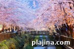 6 Compelling Reasons to Visit Busan, South Korea This Year 4 img 122665 9