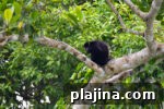 6 Compelling Reasons to Visit Panama City, Panama 5 img 124019 10