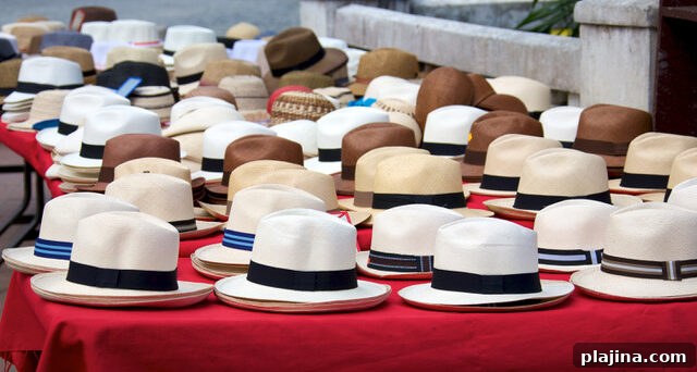 Panama hats