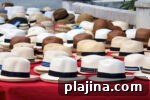 6 Compelling Reasons to Visit Panama City, Panama 4 img 124019 9