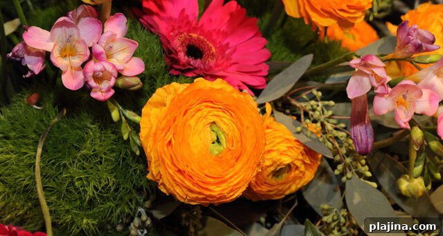 Philadelphia Flower Show