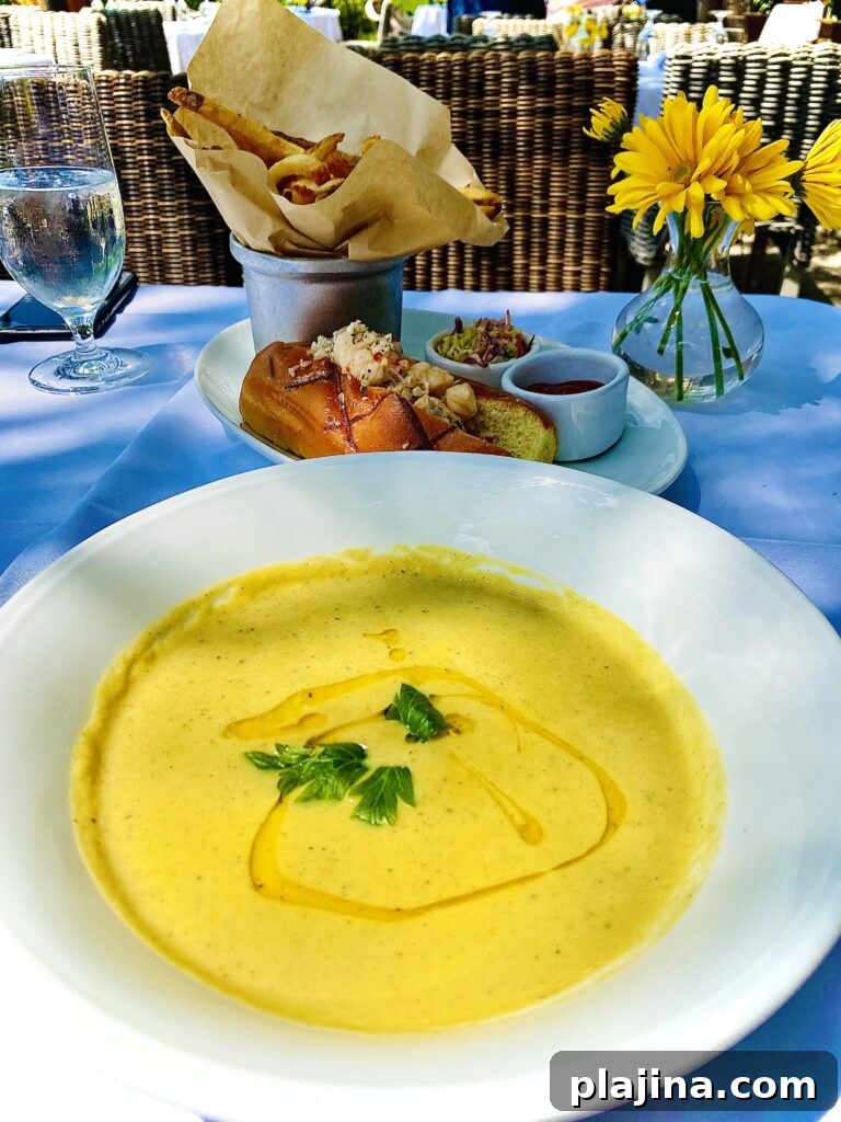 Summer squash soup