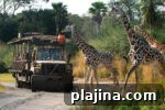 6 Compelling Reasons to Visit Orlando, Florida This Year 5 thumb