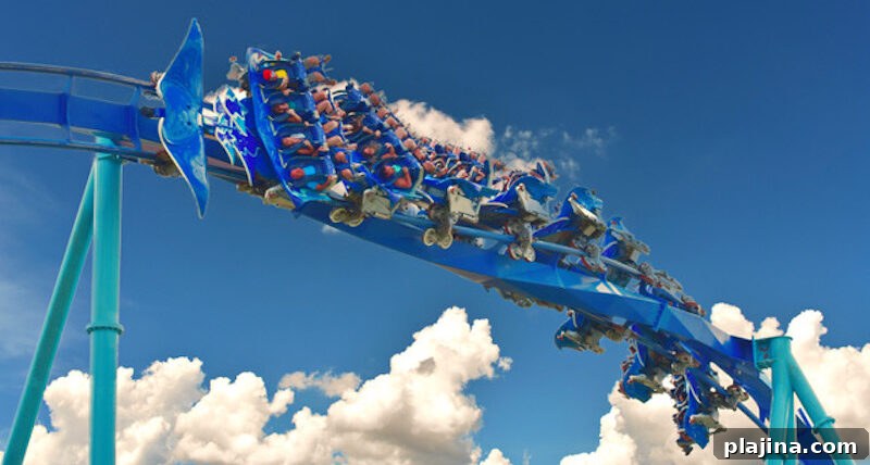 SeaWorld in Orlando