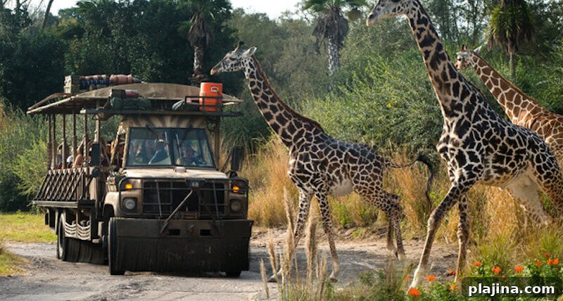 Disney's Animal Kingdom