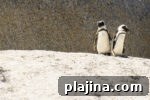 img 125392 11