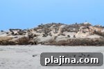 img 125392 8