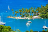 Discover St. Lucia’s Lush Tropical Wonders: Your Island Escape