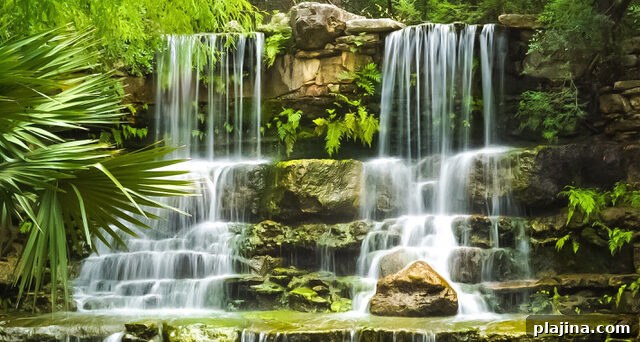 Zilker Botanical Garden