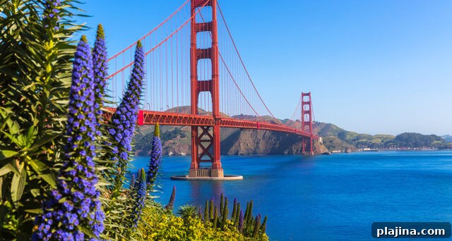 Golden Gate Bridge
