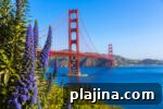 6 Compelling Reasons to Add San Francisco to Your Travel List 4 img 127222 9