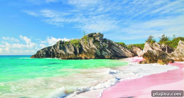 Bermuda Pink Beach