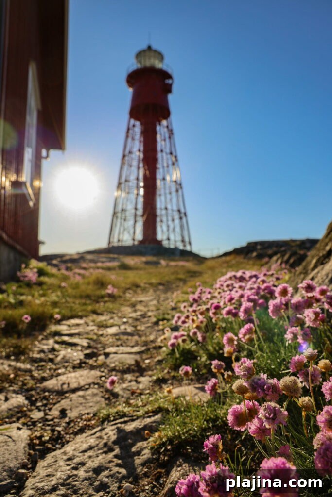 PN lighthouse