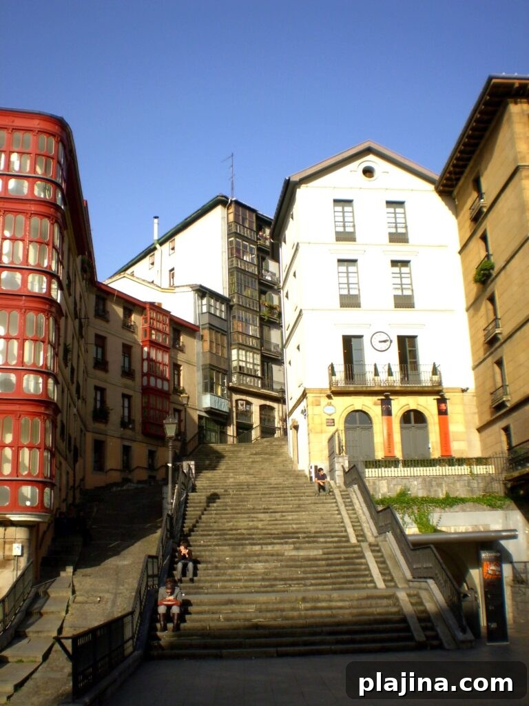 img 131085 1