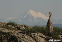 Explore British Columbia: Birding & Spice Trails plus Farm Tours
