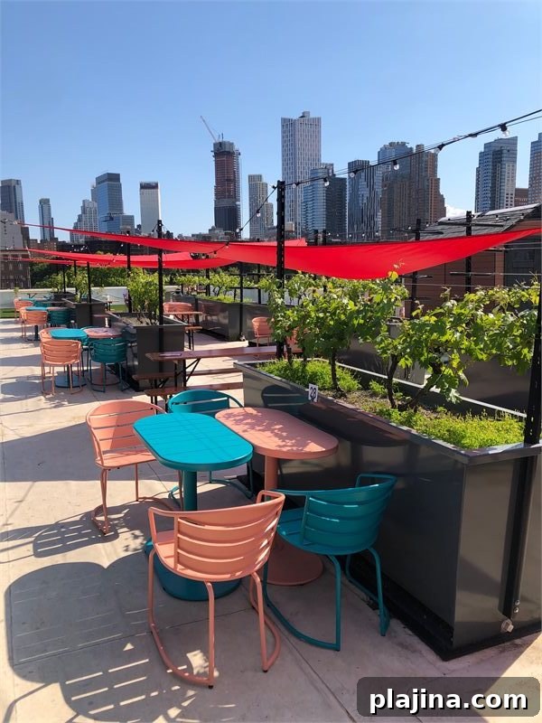 Rooftop Reds