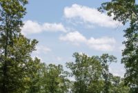 Must-Play Golf Courses in Mississippi: Top Courses to Visit