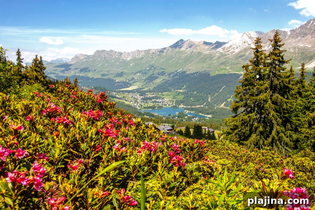 Heidsee